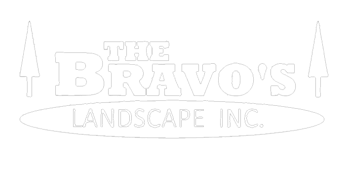 Bravos Landscape Logo - White